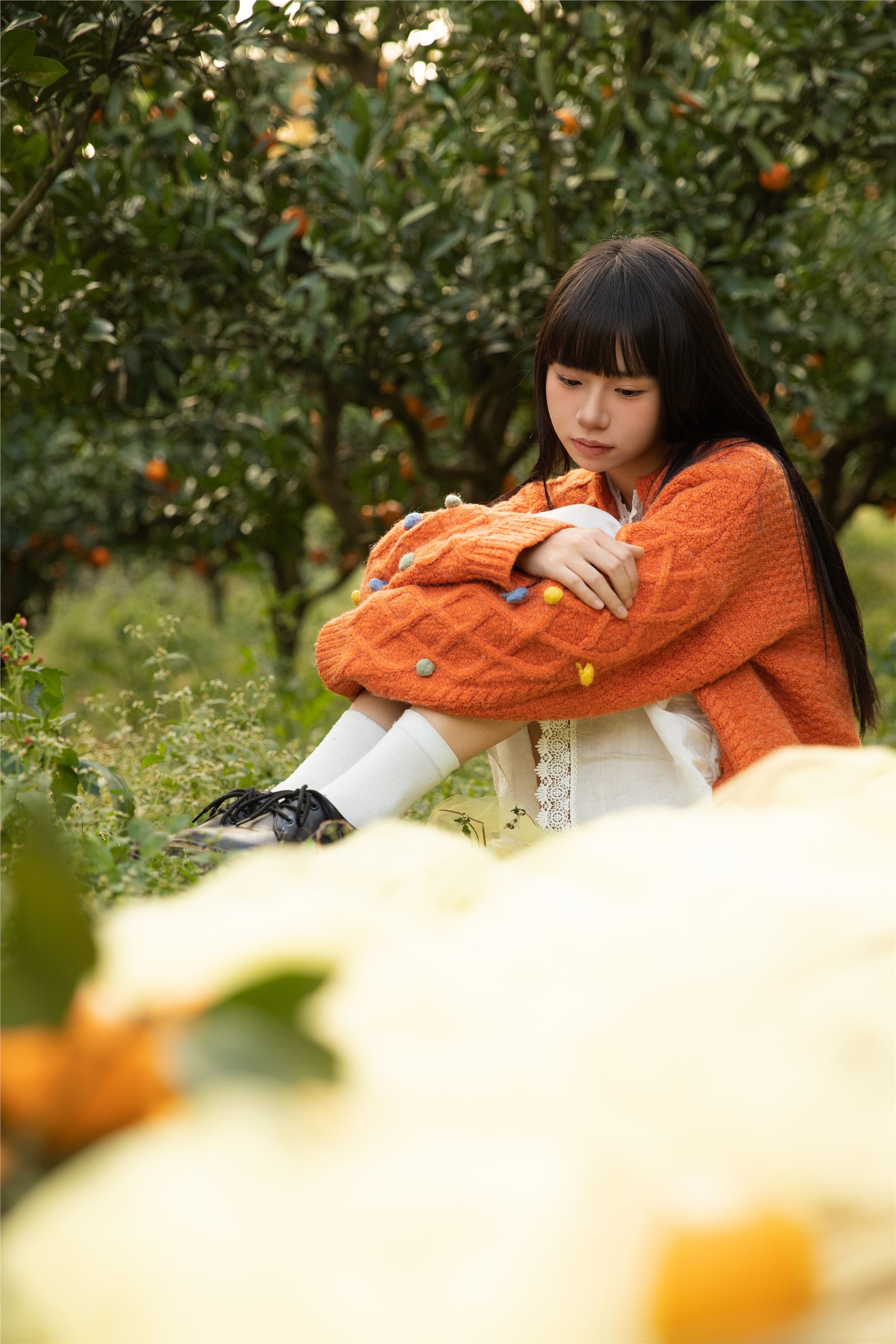 YITUYU艺图语 2025.02.03 橘子辉煌 是三金呀